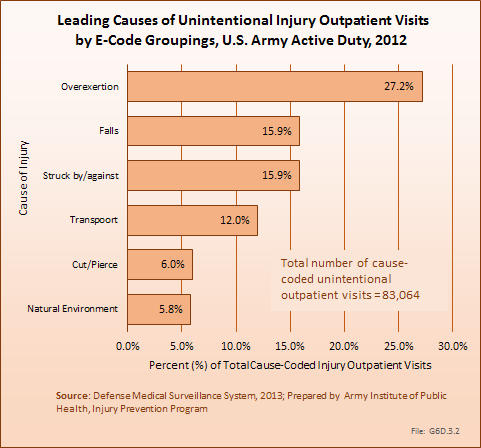 Leading Causes of Unintentional Injury Outpatient Visits by E-Code Groupings, U.S. Army Active Duty, 2012