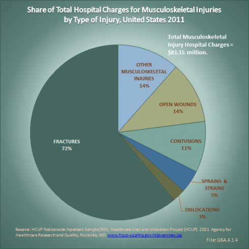 Share of Total Hospital Charges for Musculoskeletal Injuries by Type of Injury, United States 2011